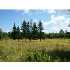 948 Tar Ridge Road, Prentiss Twp, ME - MLS 948497