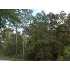 6336 E River Rd, Hernando, FL - MLS 336492