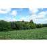 4390 Highway 47, Washington, MO - MLS 90047408