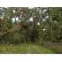 6311 E Indian Oaks Ct, Hernando, FL - MLS 336506