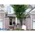 84 SCHINDLER COURT, LAWRENCEVILLE, NJ - MLS 5590284