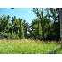 2346 Worrell, Niles, MI - MLS 2927726