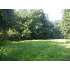 810 Big Springs Rd., Medon, TN - MLS 136579