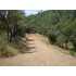 Lot 38 Broken Branch, Redding, CA - MLS 09-3022