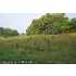 8209 PROPHET ACRES RD, FAIRPLAY, MD - MLS WA7156364