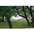 36 Oak Villa Rd, Canyon Lake, TX - MLS 776244