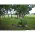 195 Gallagher Dr, Canyon Lake, TX - MLS 780926