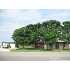 2695 N Fm 471, Castroville, TX - MLS 716793