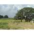 558 Us Hwy 181 S, Floresville, TX - MLS 722399