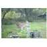 14435 S Hwy 16, Pipe Creek, TX - MLS 703259