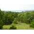 LOTS 1-24 Hidden Drive, Canyon Lake, TX - MLS 750274