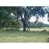 8888 S Hwy 16, Pipe Creek, TX - MLS 789327