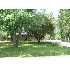 167 Luden, Munroe Falls, OH - MLS 3068357