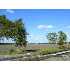 44.69 ACRES Haeckerville Road, Cibolo, TX - MLS 621747
