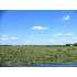 57.15 ACRES Haeckerville Road, Cibolo, TX - MLS 622044