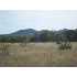1598 N Hwy 16, Bandera, TX - MLS 750138