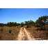 29511 Fm 306, Spring Branch, TX - MLS 732896