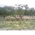 30695 US Hwy 281 N, Bulverde, TX - MLS 757447