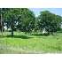 229 E Chihuahua St, LA VERNIA, TX - MLS 778382