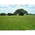 HWY 181, Floresville, TX - MLS 781685