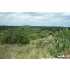 LOT 669 Zinnia Ave, Spring Branch, TX - MLS 786414