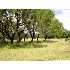 TR 14-15 Fm 1283, Pipe Creek, TX - MLS 783812