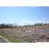TBD Fm 78, Cibolo, TX - MLS 787431