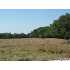 468 Tobin Ranch Road, Bandera, TX - MLS 794858