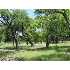 HASENWINKLE Rd, Kerrville, TX - MLS 600873
