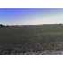 95 Granger, Granger, TX - MLS 693450