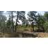 Cedar Road, Mt. Carmel, UT - MLS 09-113449