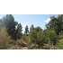 Cedar Road, Mt. Carmel, UT - MLS 09-113446