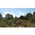 Cedar Road, Mt. Carmel, UT - MLS 09-113447