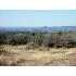 307 Mira Vista, Comfort, TX - MLS 659362