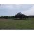 0000 Cnty Rd 154, Pleasanton, TX - MLS 717342