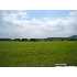 1425 Stoneleigh Rd, Comfort, TX - MLS 722025