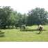1483 Rohrbuch Road, Pipe Creek, TX - MLS 696250