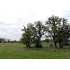 177 Mira Vista, Comfort, TX - MLS 659356