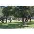 00 Fm 536, Pleasanton, TX - MLS 663992