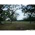 1119 S Dunlap Rd, Austin, TX - MLS 755215