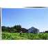 815 Obst Rd, Bulverde, TX - MLS 755191