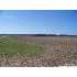 2761 N Fm 471, Castroville, TX - MLS 771654