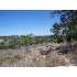 2061 Willow Springs, Bulverde, TX - MLS 773772