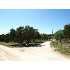 850 Right Fork, Bulverde, TX - MLS 778236