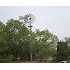 00 Leal Rd, Pleasanton, TX - MLS 775815