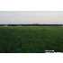 0 Cr 473, Castroville, TX - MLS 773692