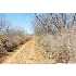 000 Brown, Poteet, TX - MLS 783475