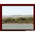 0000 Sh 185, Seadrift, TX - MLS 784388