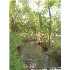 00 000 Curvier, Poteet, TX - MLS 795643