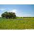 #2 Shady Oaks Ranch, Poteet, TX - MLS 794430